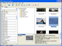 10-Strike SearchMyDiscs 4.43 screenshot. Click to enlarge!