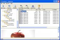 1st Smart Undeleter 8.5 screenshot. Click to enlarge!