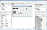 2D Barcode VCL Components 8.0.1.2446 screenshot. Click to enlarge!