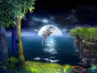 3D Jumping Dolphins Screensaver 1.0 screenshot. Click to enlarge!
