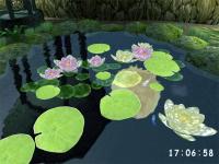 3D Pond screensaver 1.1 screenshot. Click to enlarge!