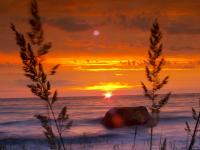 7art Landscape ScreenSaver 2.3 screenshot. Click to enlarge!