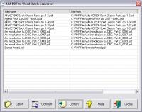 AAA PDF to Word Batch Converter 2.0 screenshot. Click to enlarge!