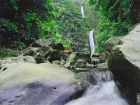 AD Jungle Waterfall - Animated Desktop Wallpaper 3.1 screenshot. Click to enlarge!