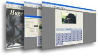 AMC Calendar Wizard 4.0a (patch 1) screenshot. Click to enlarge!