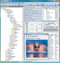 ASA Maestro 13.3.0.1 screenshot. Click to enlarge!