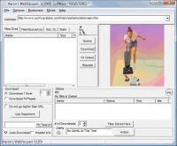 Aarons WebVacuum 2.90f screenshot. Click to enlarge!