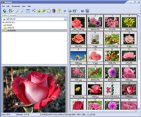 Able Image Browser 2.0.14.14 screenshot. Click to enlarge!