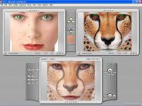 Abrosoft FantaMorph Pro 5.4.7 screenshot. Click to enlarge!