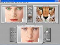 Abrosoft FantaMorph Standard Edition 5.4.8 screenshot. Click to enlarge!