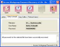 Access Workgroup Password Recovery 1.0J screenshot. Click to enlarge!