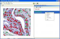 #Accessory.CognitionMaster 1.6.4809.10828 screenshot. Click to enlarge!