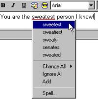 AccuSpell 2008 7.5.5.1 screenshot. Click to enlarge!