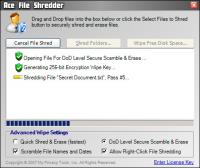 Ace File Shredder 1.1 screenshot. Click to enlarge!
