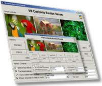 ActiveResize Control Professional 3.3 screenshot. Click to enlarge!
