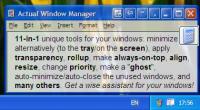 Actual Window Manager 8.10.2 screenshot. Click to enlarge!