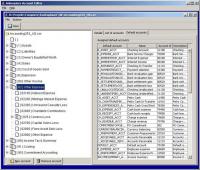 Adempiere Account Editor 1.5.1 screenshot. Click to enlarge!