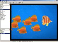 Advanced Image Viewer and Converter 1.6 screenshot. Click to enlarge!