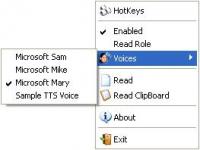 Agent Screen Reader 1.2.0 screenshot. Click to enlarge!