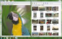 Ai Picture Explorer 8.5.0.8500 screenshot. Click to enlarge!