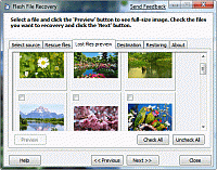Alamoon Photo Undelete 1.1.329 screenshot. Click to enlarge!