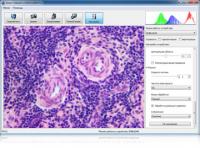 Altami Studio 3.3.0 screenshot. Click to enlarge!