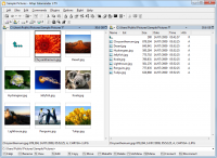 Altap Salamander 3.07 screenshot. Click to enlarge!