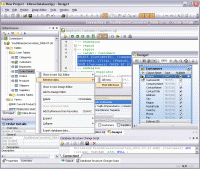 Altova DatabaseSpy Professional Edition 2017 SP2 screenshot. Click to enlarge!