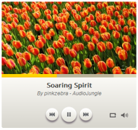 Amazing Audio Player 2.8 screenshot. Click to enlarge!
