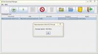 Ank Download Manager 1.0 screenshot. Click to enlarge!
