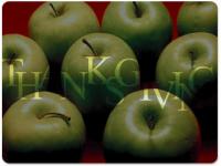 Another Happy Thanksgiving Screensaver 2.0 screenshot. Click to enlarge!