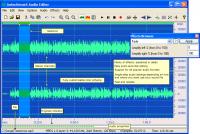 Antechinus Audio Editor 2.4 screenshot. Click to enlarge!