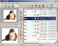 AntiDupl.NET 2.2.6.544 screenshot. Click to enlarge!