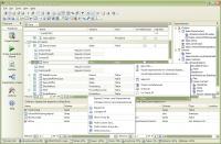 Apex SQL Clean 2008.03 screenshot. Click to enlarge!