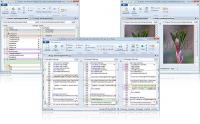 Araxis Merge for Windows 2012.4198 screenshot. Click to enlarge!