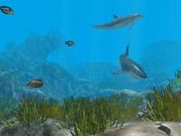 Arid Ocean 1.2 screenshot. Click to enlarge!