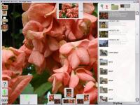 Aros Magic Viewer 2.0 screenshot. Click to enlarge!