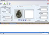 Art Organizer 2.8.3 screenshot. Click to enlarge!