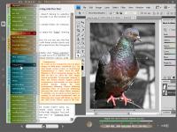 As Simple As Photoshop 7.01 screenshot. Click to enlarge!
