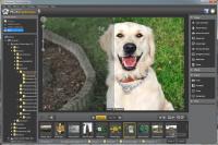 Ashampoo Photo Optimizer 6.0.20.138 (1157) screenshot. Click to enlarge!