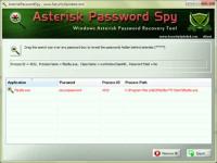Asterisk Password Spy 6.0 screenshot. Click to enlarge!