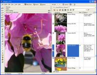 Atlast! File Notes Organizer 3.5 screenshot. Click to enlarge!