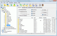 Attribute Manager 5.55 screenshot. Click to enlarge!