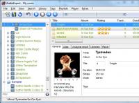 AudioExpert 12.3.0.1435 screenshot. Click to enlarge!