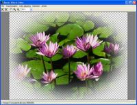 Aurigma Graphics Processor 1.9 screenshot. Click to enlarge!
