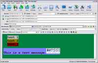 Auto Mail Sender Standard Edition 11.0.083 screenshot. Click to enlarge!