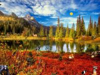 Autumn Fantasy 1.1 screenshot. Click to enlarge!