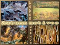 Autumn Motives Screensaver 1.1 screenshot. Click to enlarge!