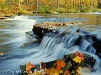Autumn Screen Saver and Wallpaper 3.3 screenshot. Click to enlarge!