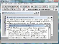 AvniTech WhizNote 3.5.8 screenshot. Click to enlarge!